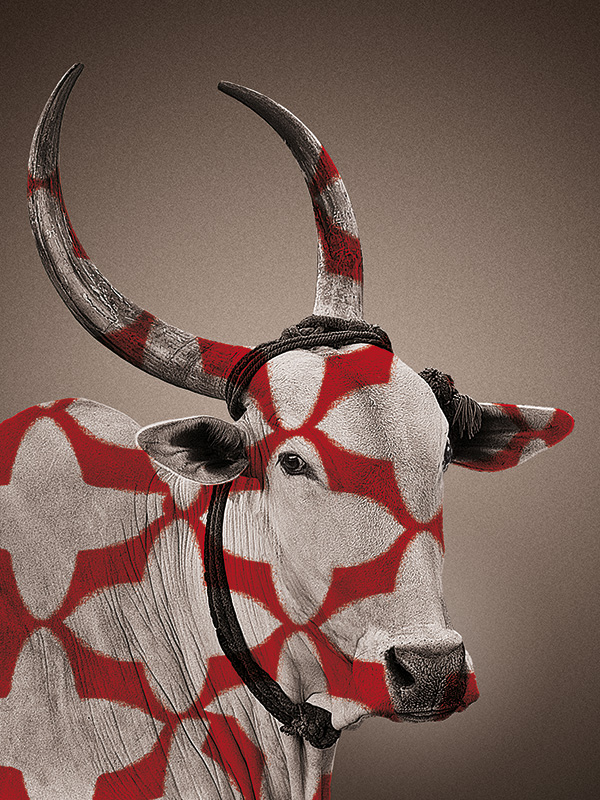 nomad-india-accessory-wall-art-nandi-buta